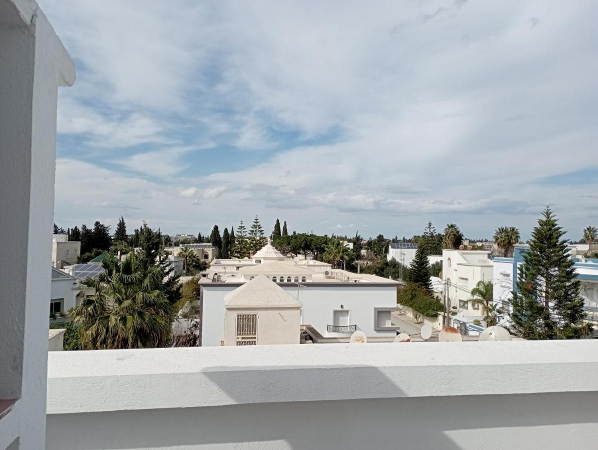 Modern Oasis - Rare Stylish Tunis